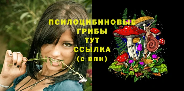 PSILOCYBIN Бронницы