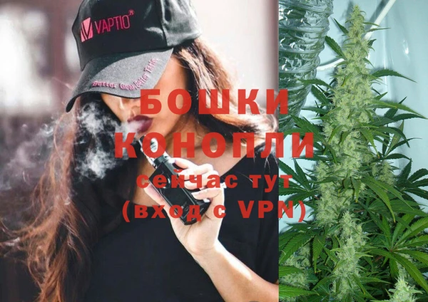 экстази Бородино