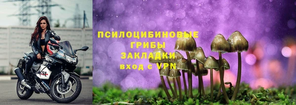 PSILOCYBIN Бронницы